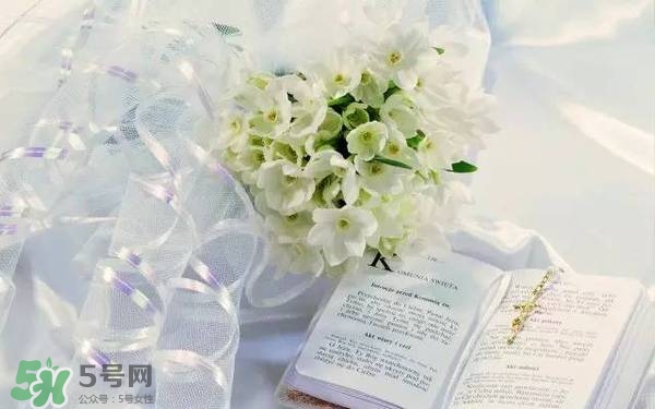 jill stuart湛藍(lán)祝福限定系列有哪些？jill stuart湛藍(lán)限定多少錢(qián)？