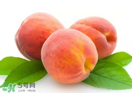 桃子為什么不能和西瓜一起吃？桃子和西瓜為什么不能一起吃？