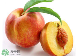 桃子可以放冰箱嗎？桃子能放冰箱保鮮嗎？