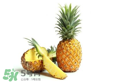 孕婦能吃菠蘿嗎？菠蘿孕婦能不能吃？