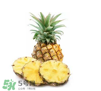 孕婦能吃菠蘿嗎？菠蘿孕婦能不能吃？