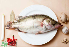 ?五月份吃什么魚？5月份吃什么魚？