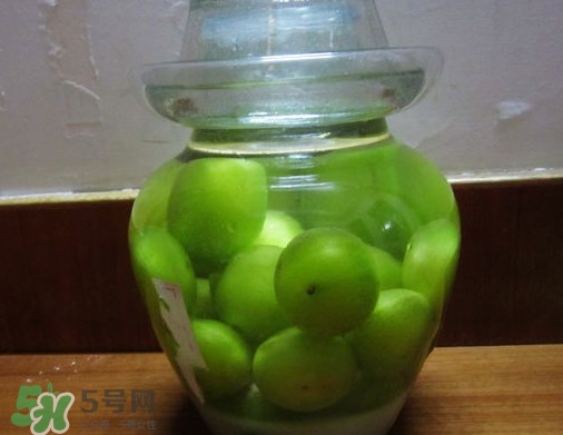 三華李可以泡酒嗎？三華李可以多吃嗎？