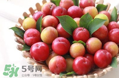 月經(jīng)期可以吃三華李嗎？月經(jīng)期能吃三華李嗎