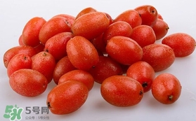 羊奶果可以連皮吃嗎？羊奶果的皮可以吃嗎