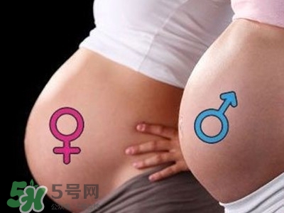 B超單數(shù)據(jù)怎么看男女？B超單看男女準(zhǔn)嗎？