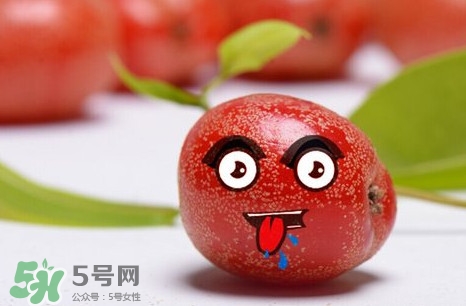 羊奶子有什么藥用價(jià)值？羊奶子有什么功效