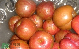 三華李可以泡酒嗎？三華李可以多吃嗎？