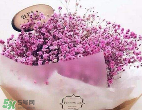 母親節(jié)可以送滿天星嗎？母親節(jié)能送滿天星嗎？