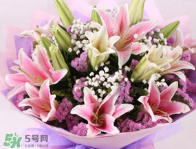 百合花多少錢一支2017？百合花多少錢一束2017？