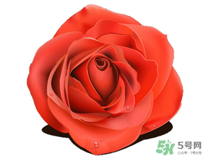 母親節(jié)送什么顏色的玫瑰花？母親節(jié)送幾朵玫瑰花？
