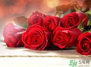 母親節(jié)送什么顏色的玫瑰花？母親節(jié)送幾朵玫瑰花？