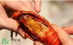 周黑鴨小龍蝦怎么吃？周黑鴨小龍蝦怎么吃圖解？