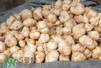 土瓜怎么做好吃？土瓜的做法大全