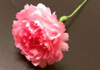 母親節(jié)可以送紙做的康乃馨嗎？康乃馨怎么折？
