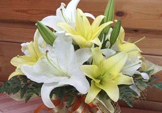 百合花多少錢一支2017？百合花多少錢一束2017？