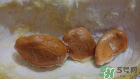 榴蓮核能種嗎？榴蓮核怎么種盆栽？