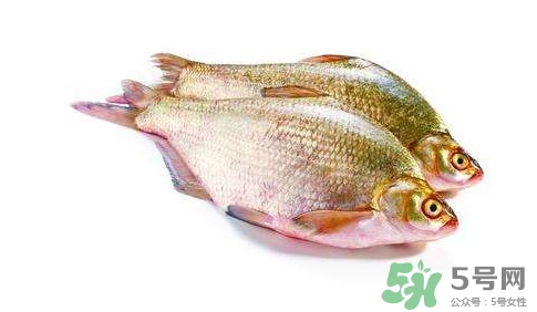 鳊魚怎么做好吃？鳊魚怎么燒好吃