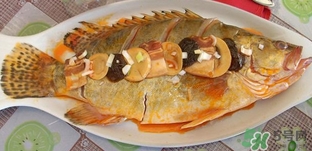 臭鱖魚(yú)多少錢(qián)一斤？臭鱖魚(yú)多少錢(qián)一條