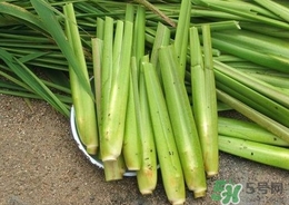 茭白能放冰箱嗎？茭白可以放冰箱多久