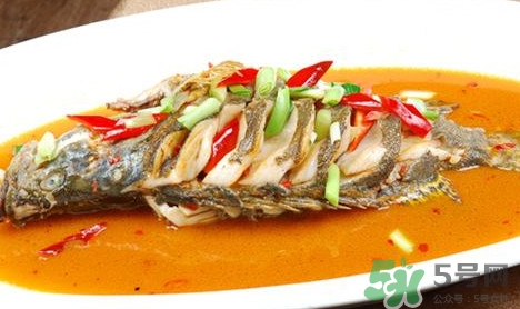 鱖魚(yú)怎么做好吃？鱖魚(yú)怎么做給寶寶吃