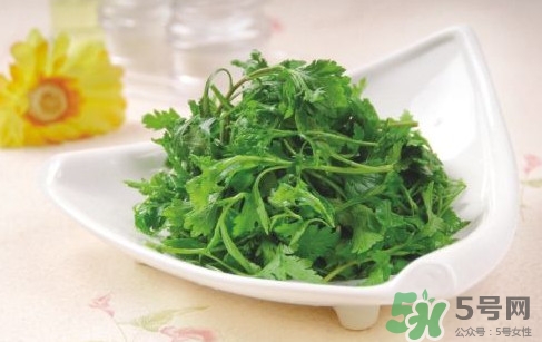 菊花腦孕婦能吃嗎？孕婦可以吃菊花腦嗎