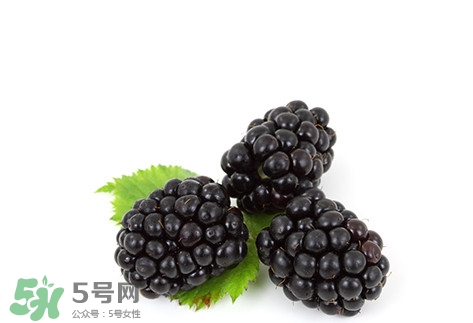 覆盆子的熱量高嗎？覆盆子可以減肥嗎？