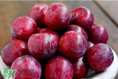 吃李子為什么會(huì)拉肚子？拉肚子可以吃李子嗎？