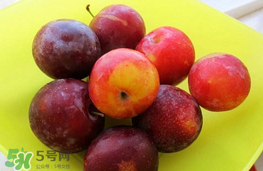 李子可以和西紅柿一起吃嗎？西紅柿和李子能同吃？