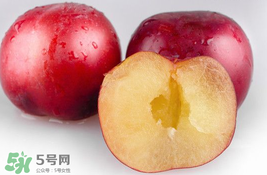 李子可以和西紅柿一起吃嗎？西紅柿和李子能同吃？