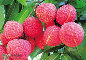 荔枝和蝦能一起吃嗎？荔枝與蝦同食會(huì)中毒嗎？