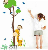 給孩子補(bǔ)鈣可以長高嗎？身高跟補(bǔ)鈣有沒有直接關(guān)系？