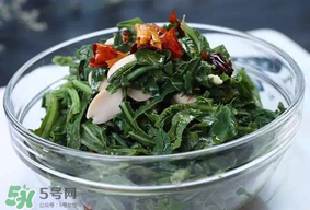 苦菜怎么保存？苦菜怎么保存時間長？