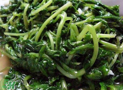 苦菜可以曬干嗎？苦菜怎么曬干？