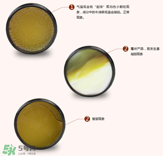 地球媽媽護臀膏能擦臉嗎？地球媽媽護臀膏可以擦臉用嗎？