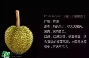 金枕頭和貓山王哪個(gè)好？金枕頭和貓山王的區(qū)別