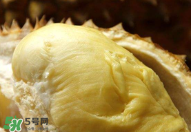 金枕頭榴蓮幾月份上市？金枕頭榴蓮什么時候上市？