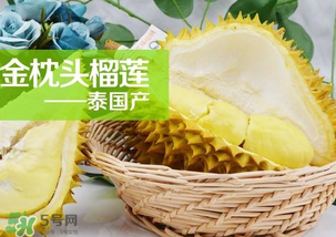 金枕頭榴蓮怎么才算熟？金枕頭榴蓮怎么催熟？