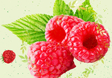 刺泡的熱量 刺泡可以減肥嗎？