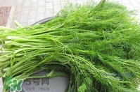 茴香包餃子用焯水嗎？茴香做餡需要焯水嗎