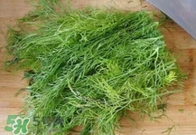 茴香菜是什么菜？茴香菜是香菜嗎