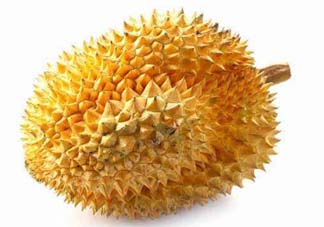金枕頭和貓山王哪個好？金枕頭和貓山王的區(qū)別