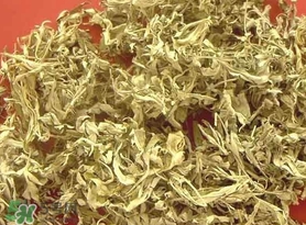 艾葉是什么植物？艾葉和艾草是一回事嗎？