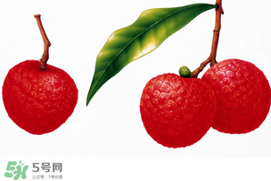 拉肚子能吃荔枝嗎 ？拉肚子可以吃荔枝嗎 ？
