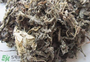艾葉能治胃病嗎？艾葉可以治慢性胃炎嗎