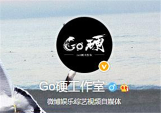go硬工作室和卓偉有什么關(guān)系？go硬工作室是卓偉前員工成立的？