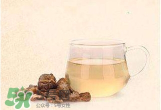 肉蓯蓉可以用白開水泡著喝嗎？肉蓯蓉泡水喝步驟
