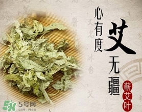 艾葉是艾蒿嗎？艾葉是什么樣的