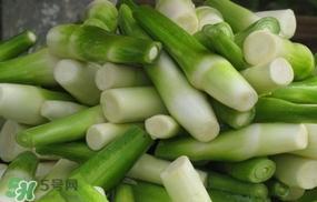 茭白什么時(shí)候上市？茭白什么季節(jié)有