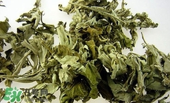 艾葉可以驅(qū)蚊子嗎？艾葉能驅(qū)蚊子嗎